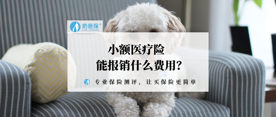 什么是零星小额 v2-e386d4961f86a019887709c4a62b4a07_1440w.jpg?source=172ae18b