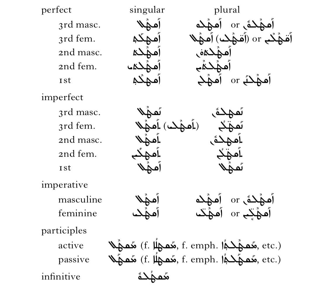 中国学生学习拉丁语应该从小学开始吗
