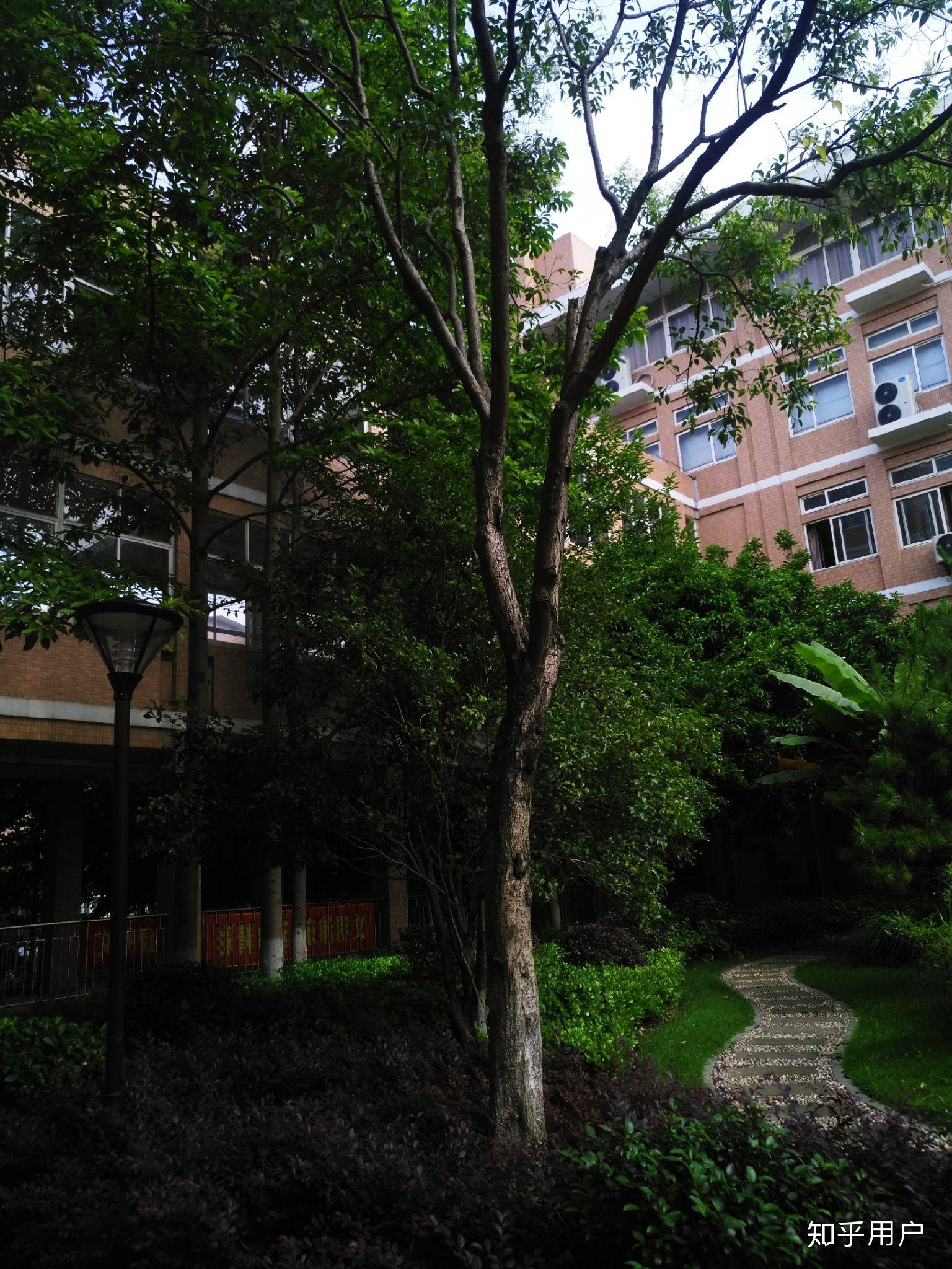 在上海市高行中学就读是怎样的体验