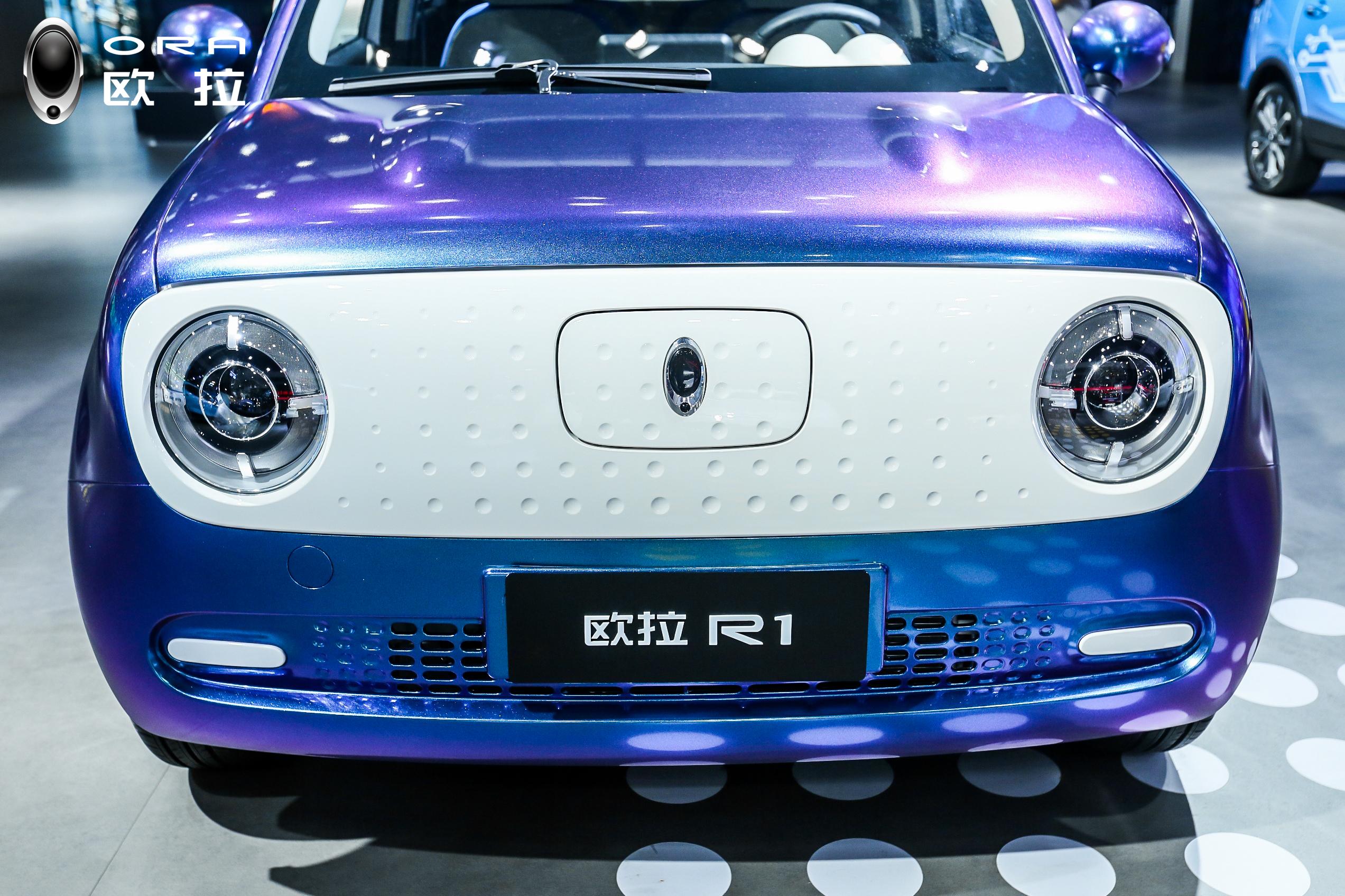 如何评价长城汽车旗下新能源汽车品牌欧拉r1预售价补贴后6.18-7.