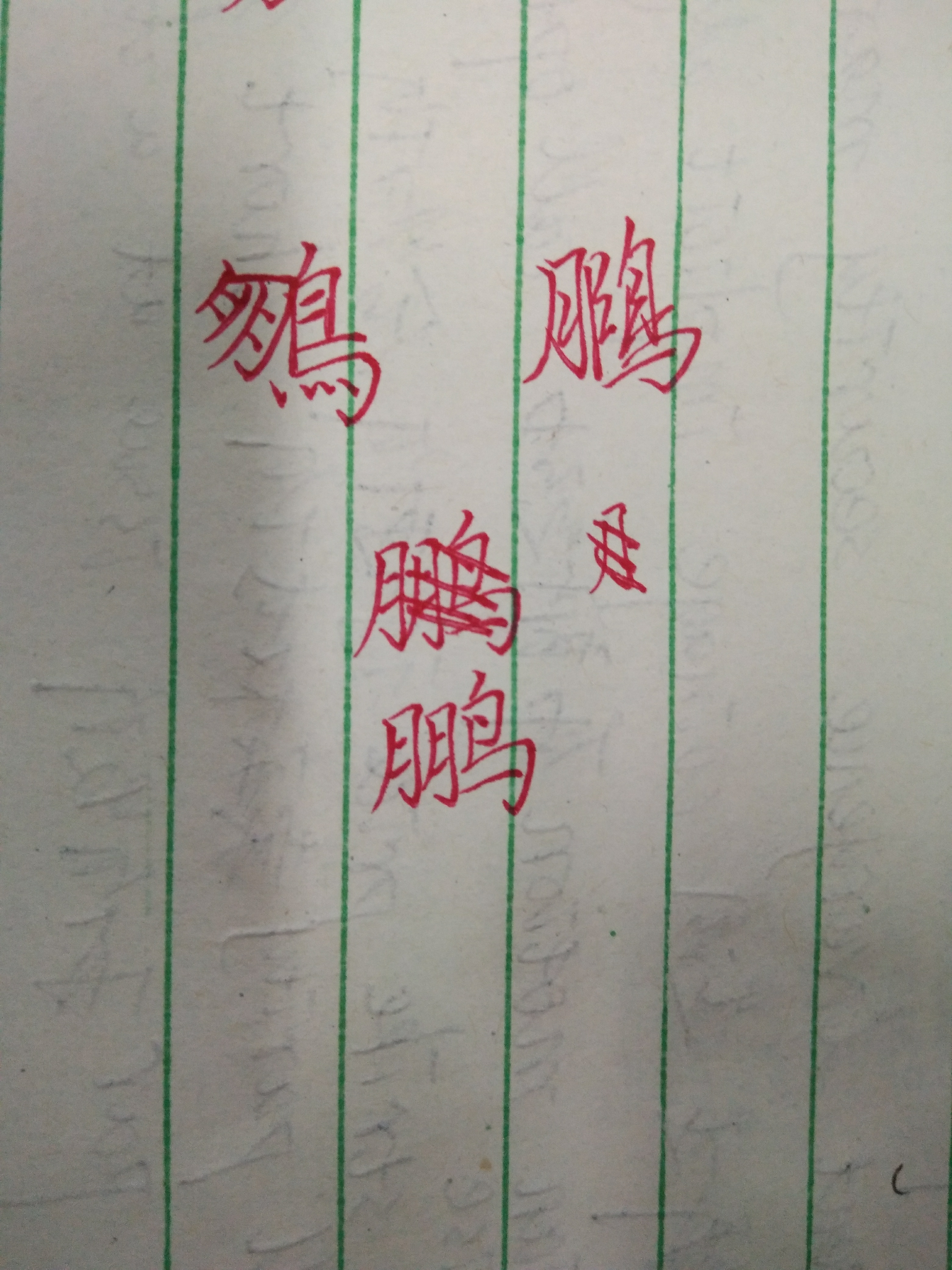 鹏字怎么写好看?