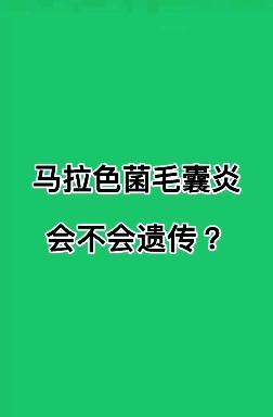 馬拉色菌毛囊炎?