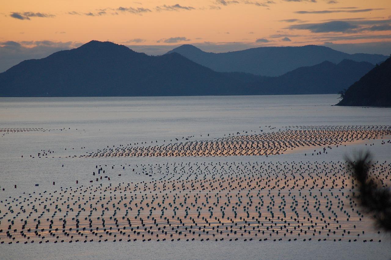 海南文昌帝景湾怎么样