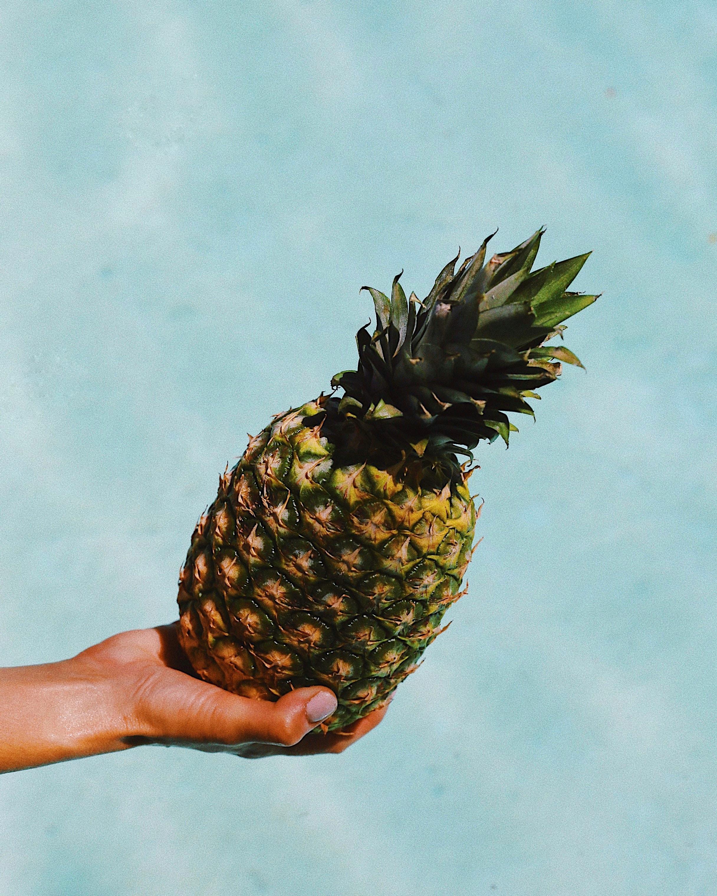 5. 菠萝养护管理