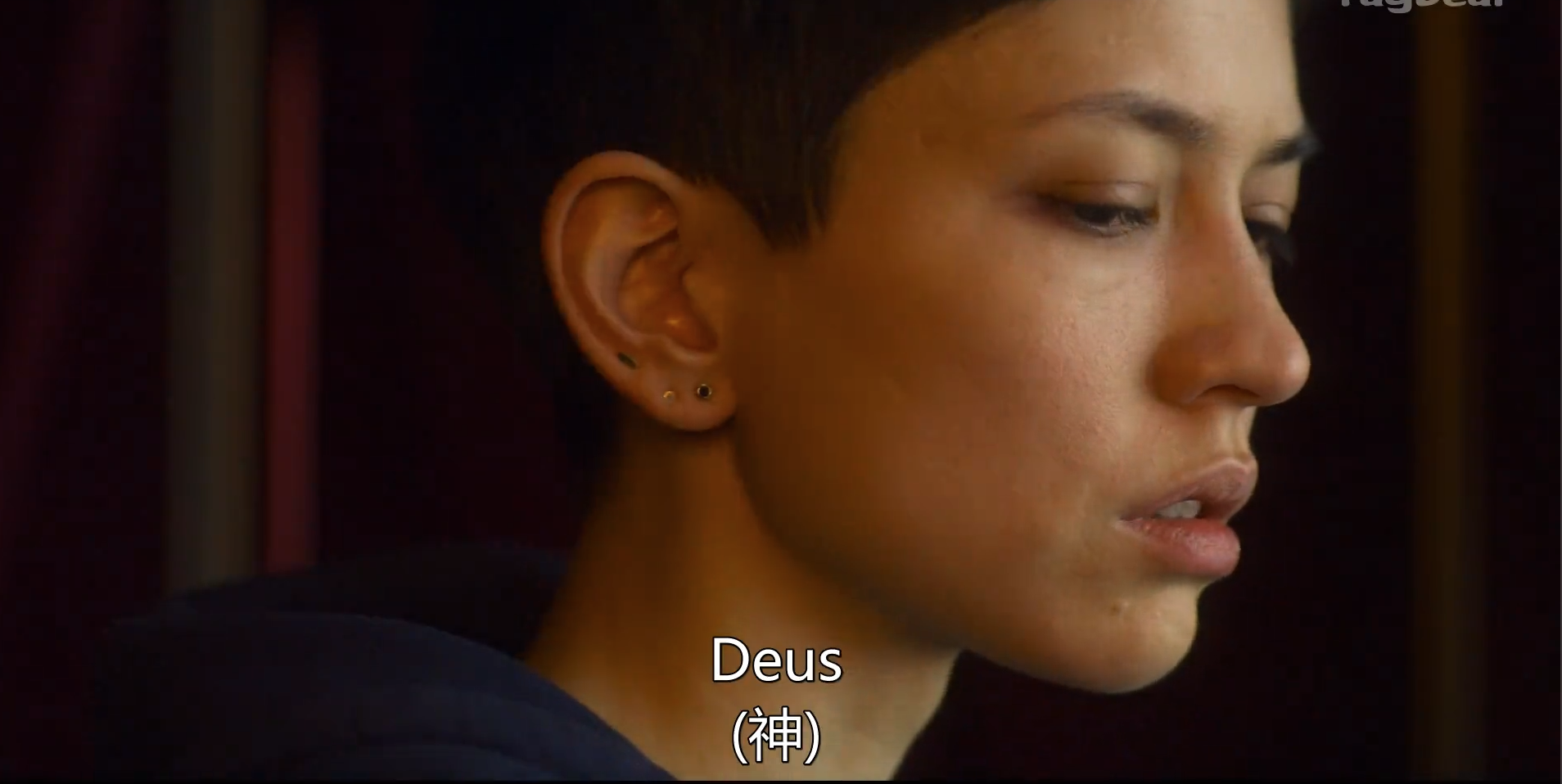 如何理解美剧开发者的结局