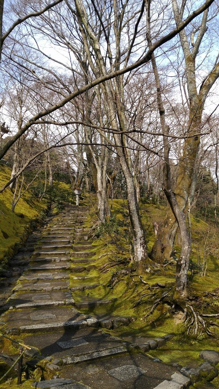 1. 岚山风光带览