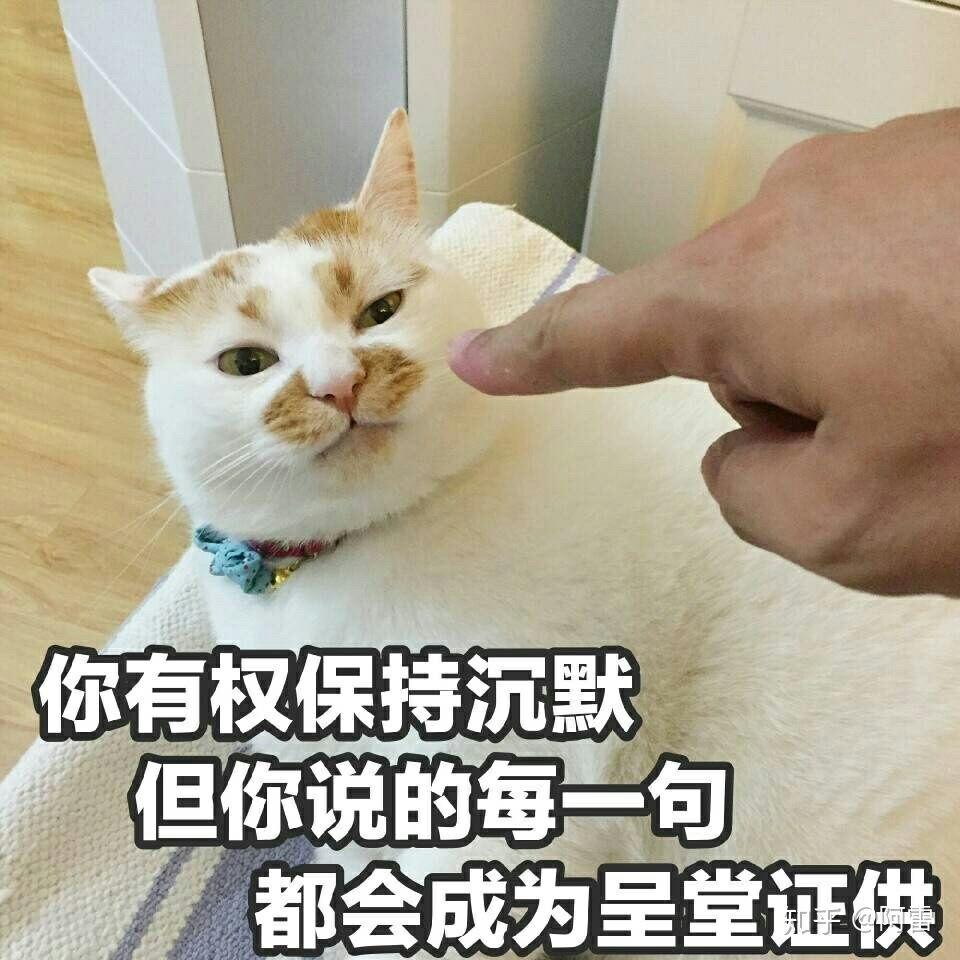 有没有猫咪表情包