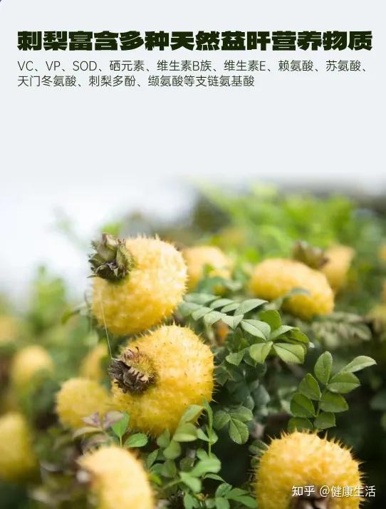 为什么没喝醉,也一定要解酒? - 知乎