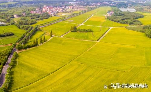 申请信息公开接连受挫,冠领律师代理被征收人上诉二审反败为胜 - 知乎