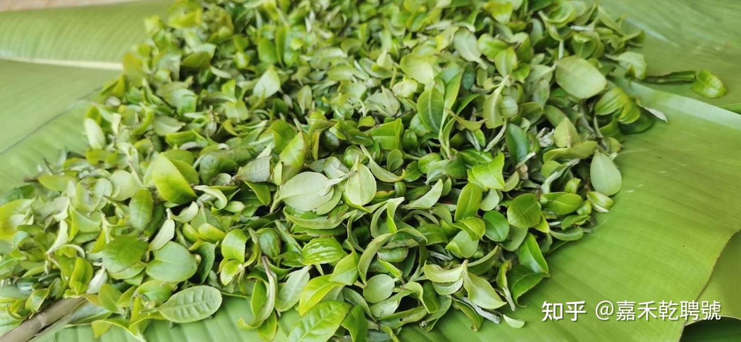 在种类繁多的茶中，我独爱嘉禾乾聘号普洱茶 - 知乎