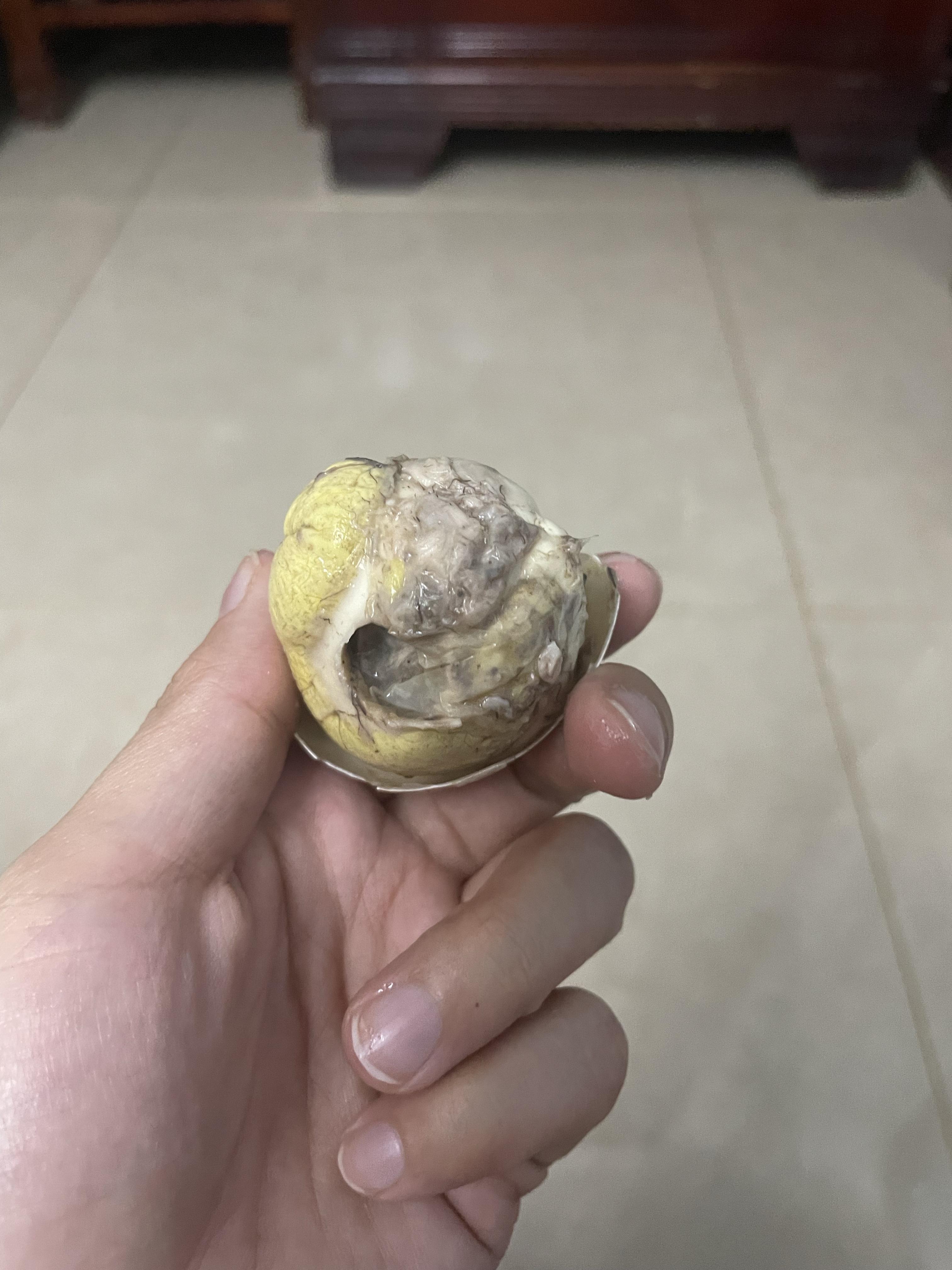 活珠子到底是什么味道? - 知乎