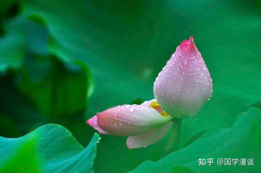 夏天最美的雨，都写在这6首诗词里了！ - 知乎