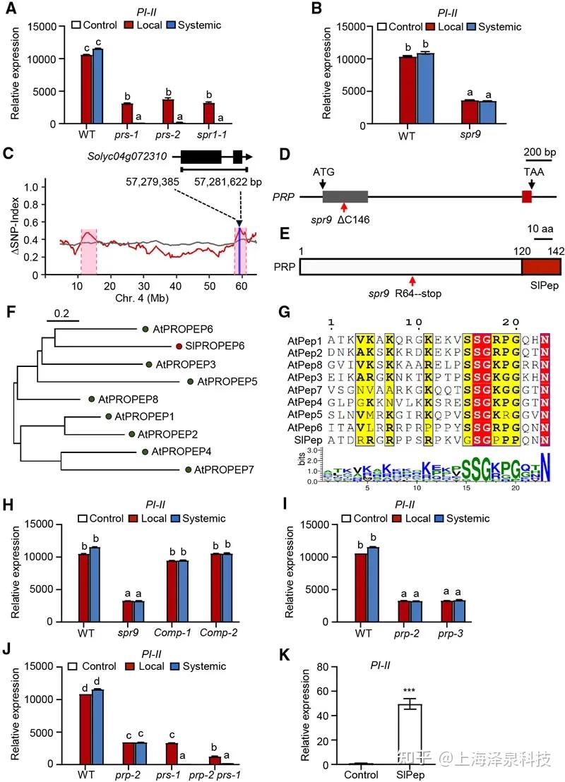 cell-ref1