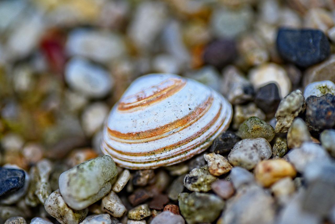 冰柜外壳漏电什么原因