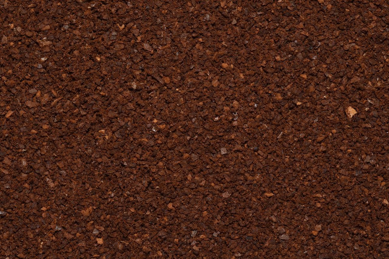 前海自贸区房价走势