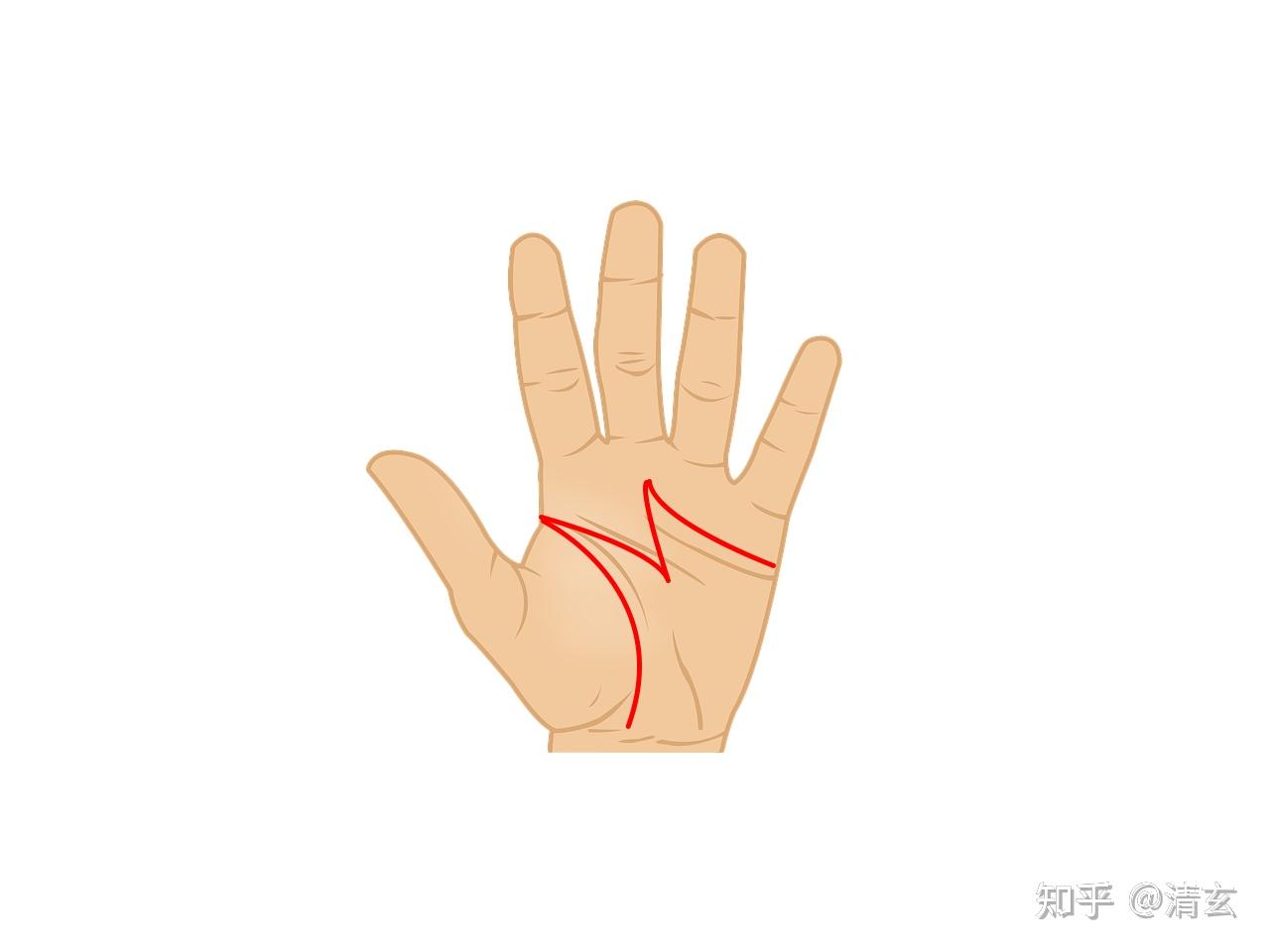史上最强手相|四大奇纹- 知乎