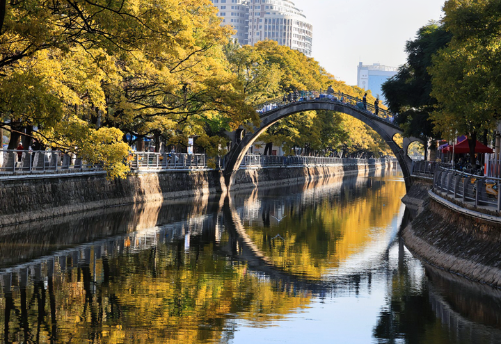 昆明滇朴冬日美景大观河独好纪实攻略