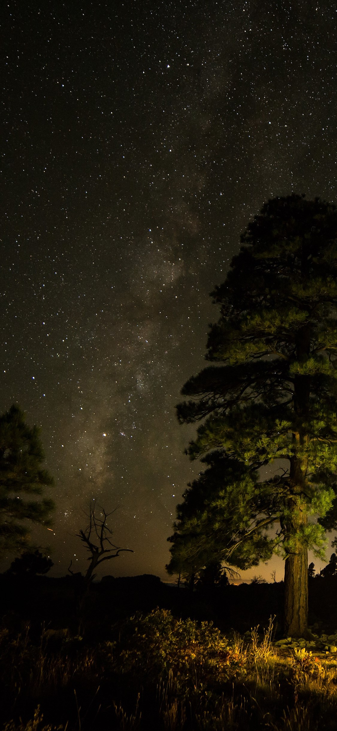 有哪些好看的iphone实况壁纸呀? - 知乎