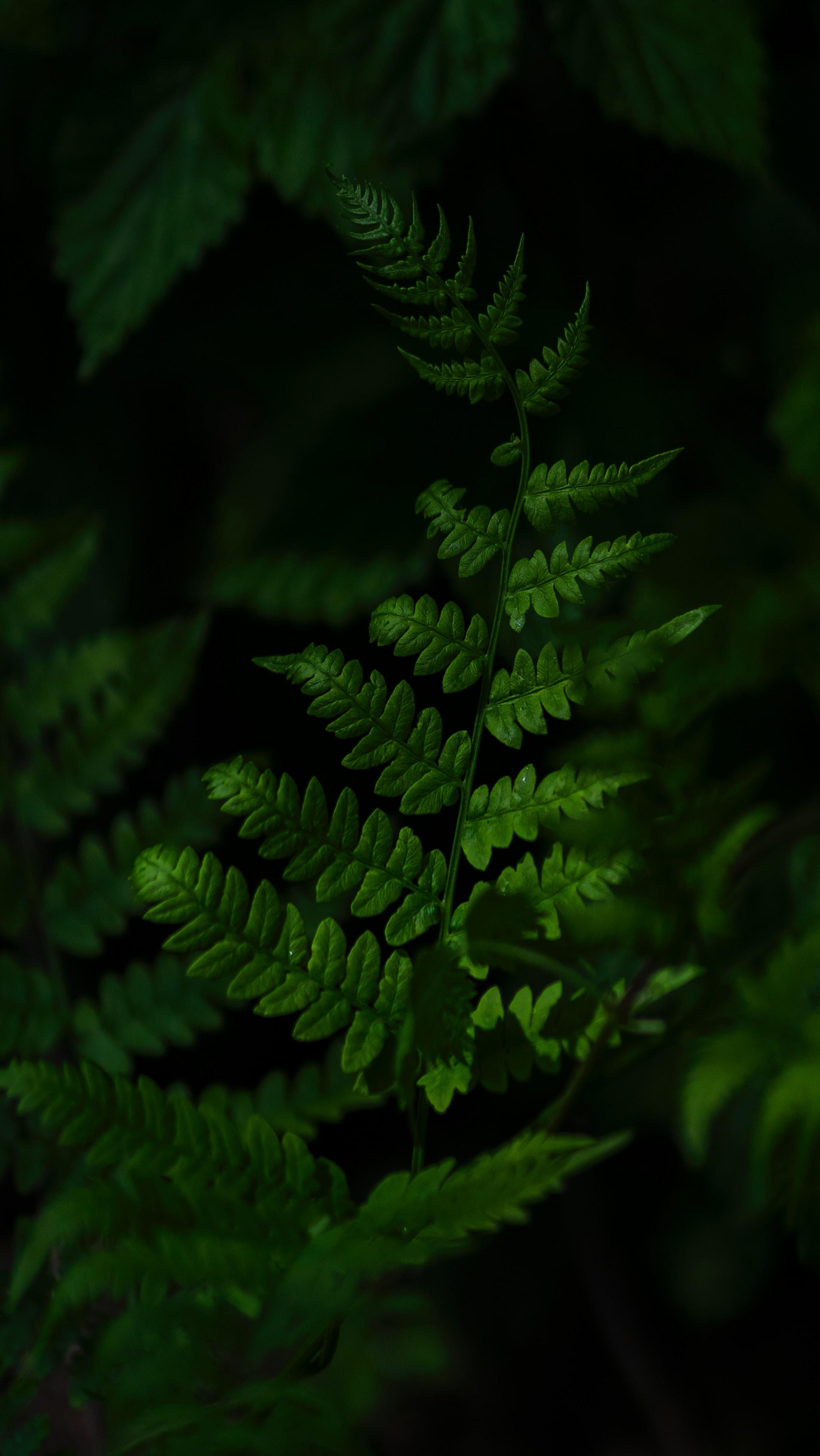 4. 景观园林住宅