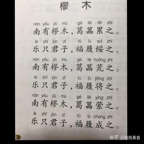 《微雨读诗经》——愿得樛木,有枝可依 - 知乎