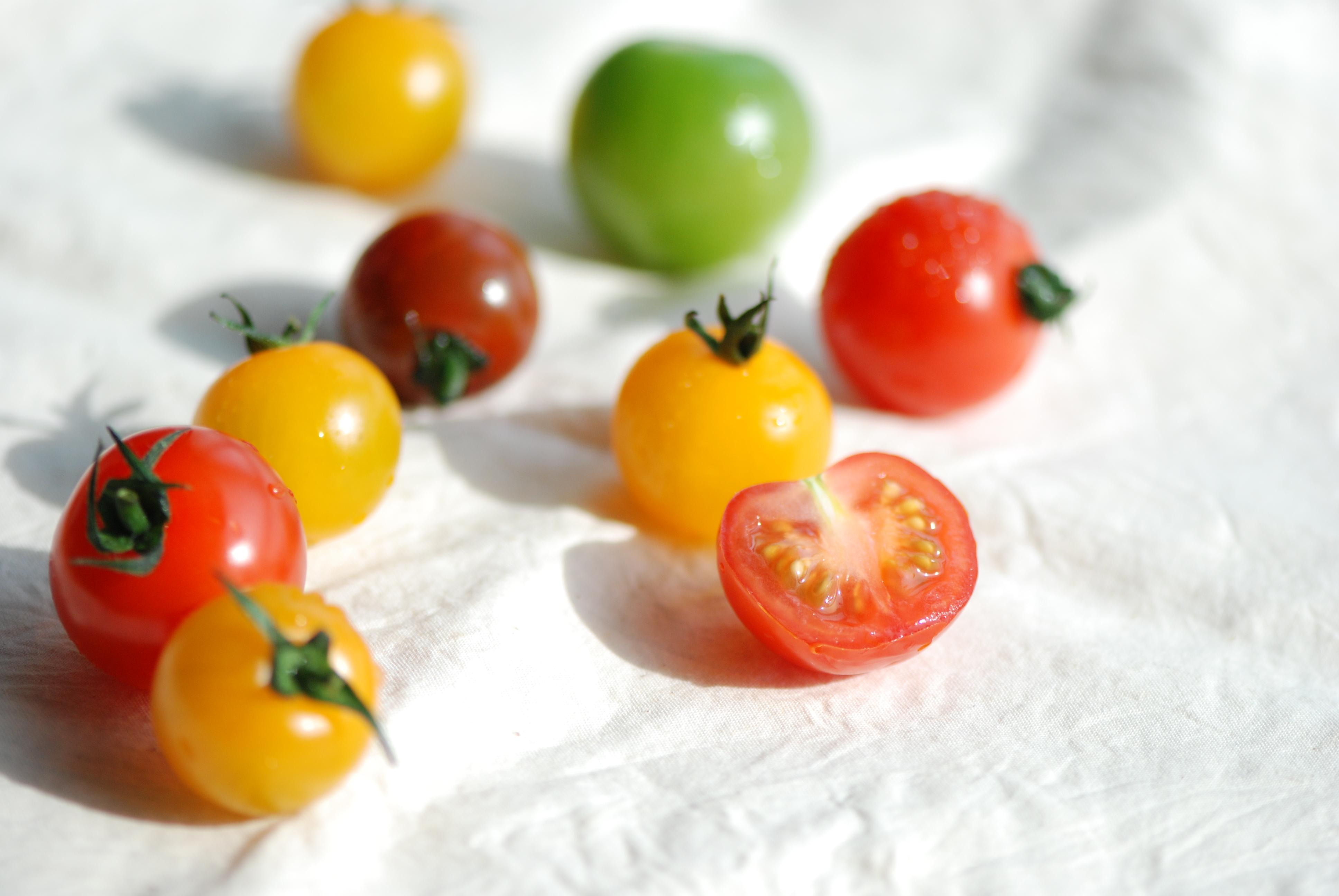 美食蔬菜拍摄西红柿拍摄静物摄影电商摄影产品摄影|摄影|美食摄影|REOREOO - 原创作品 - 站酷 (ZCOOL)
