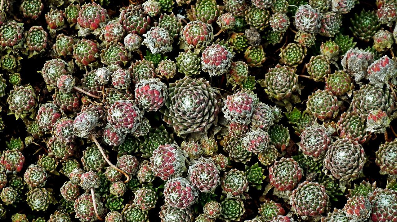 4. 价格走势解读