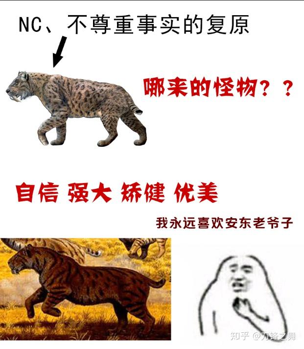剑齿虎打得过狮子老虎吗?(剑齿虎与狮子体型对比)