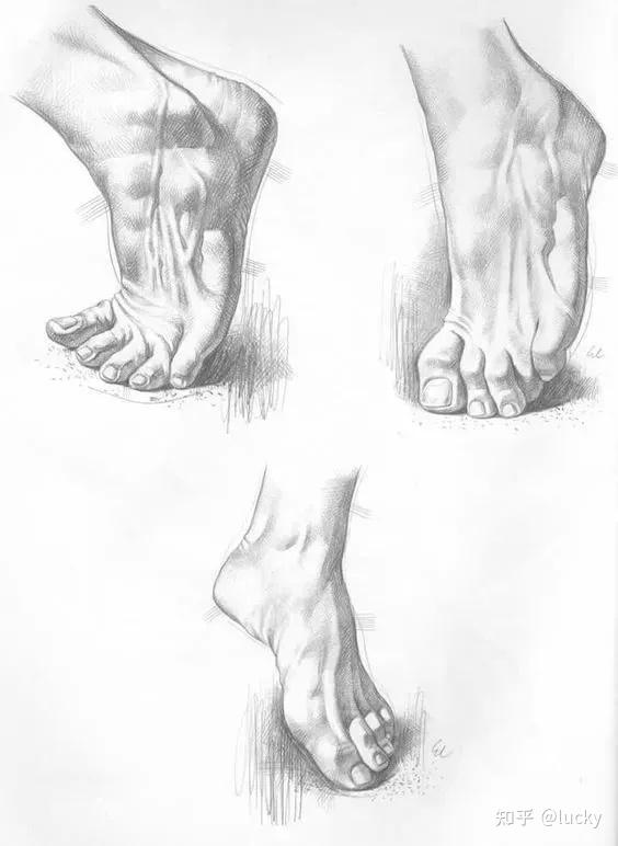 人体素描的手和脚怎样处理比较自然