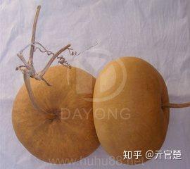 葫芦种类分类 - 知乎