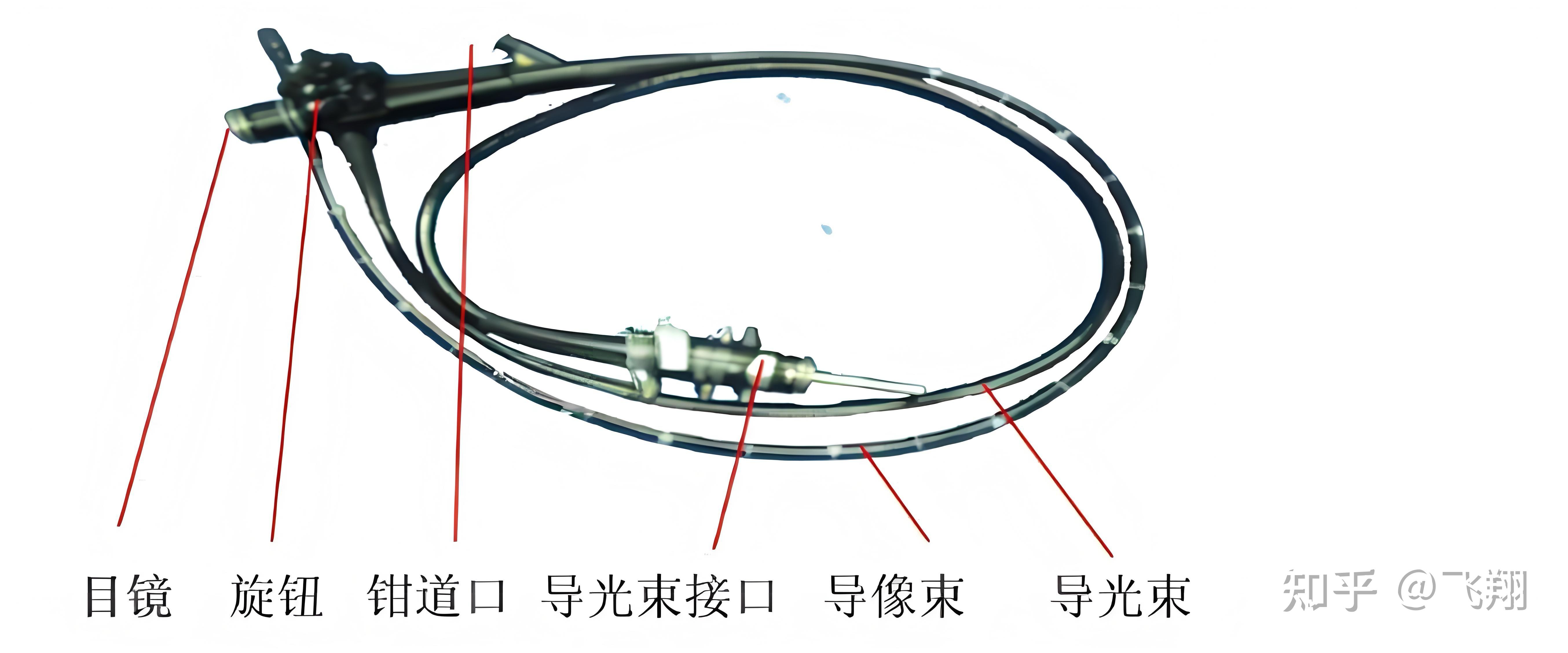 内窥镜：结构与光学成像的深度剖析 知乎 