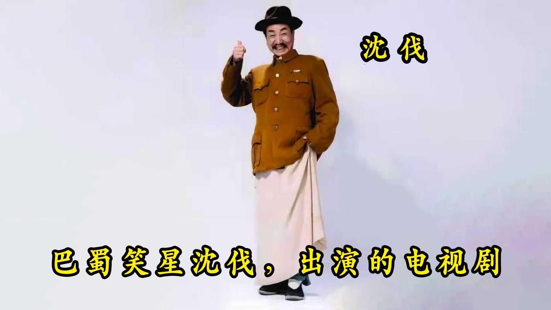 盘点十大巴蜀笑星沈伐出演的电影电视