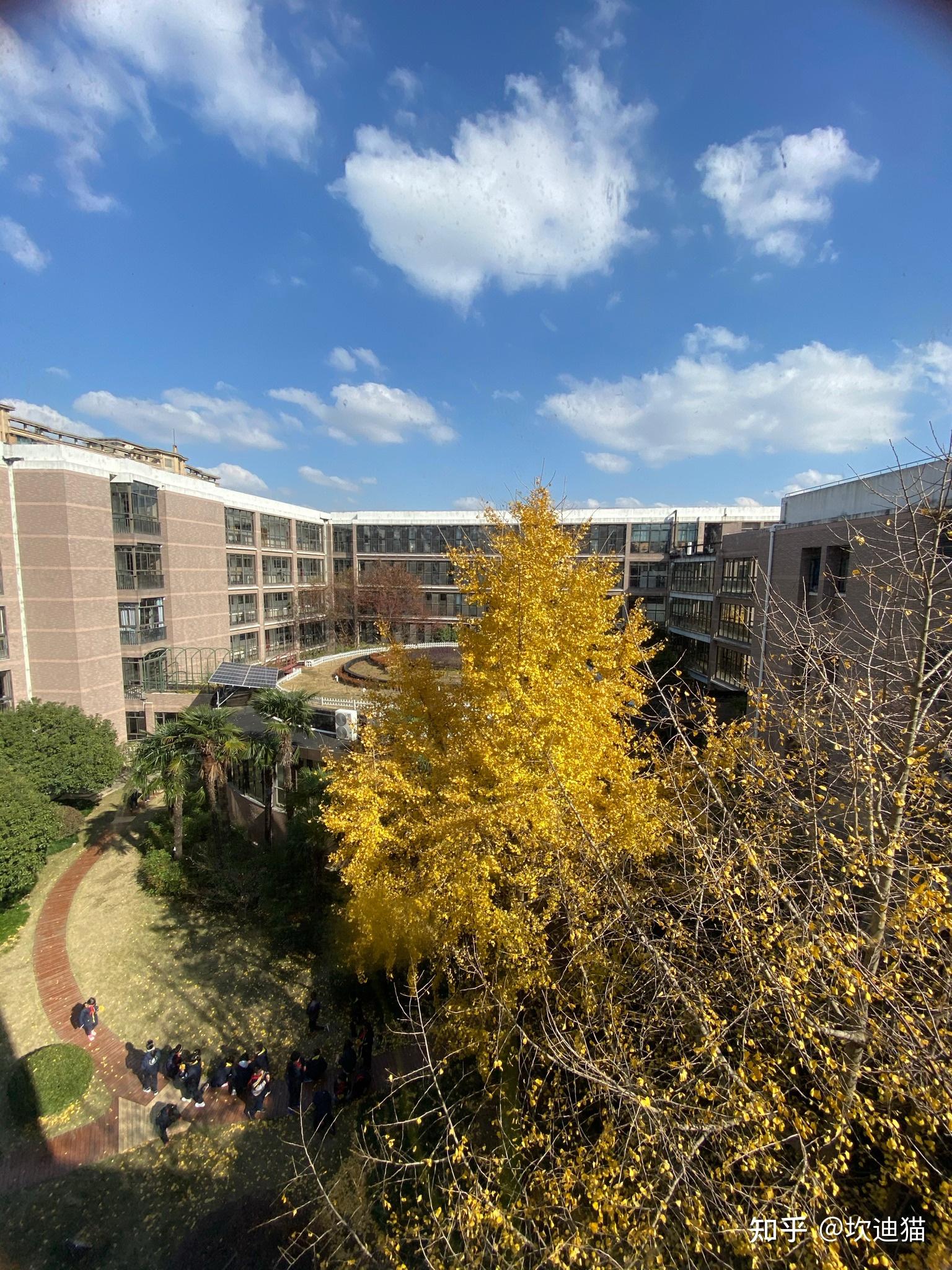 在上海市实验学校东校sees读书是一种怎样的体验