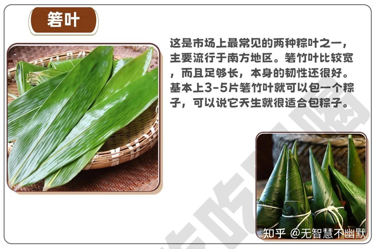 【端午节：粽叶是什么叶？】 - 知乎