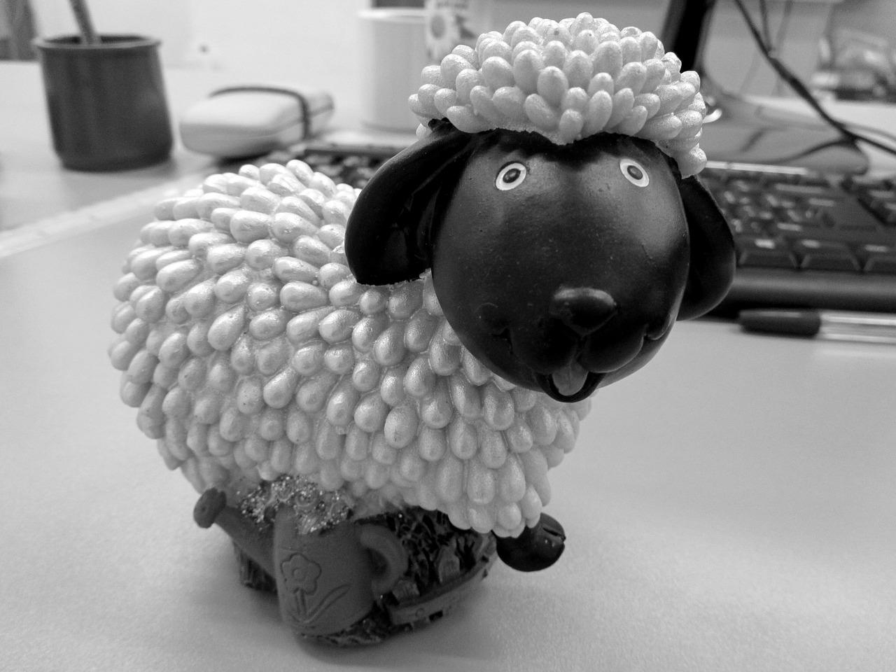 羊肉不能和什么一起吃