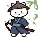 Zhihu profile picture for @palash