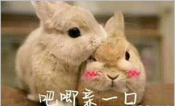 有没有给女朋友亲亲的表情包? - 知乎