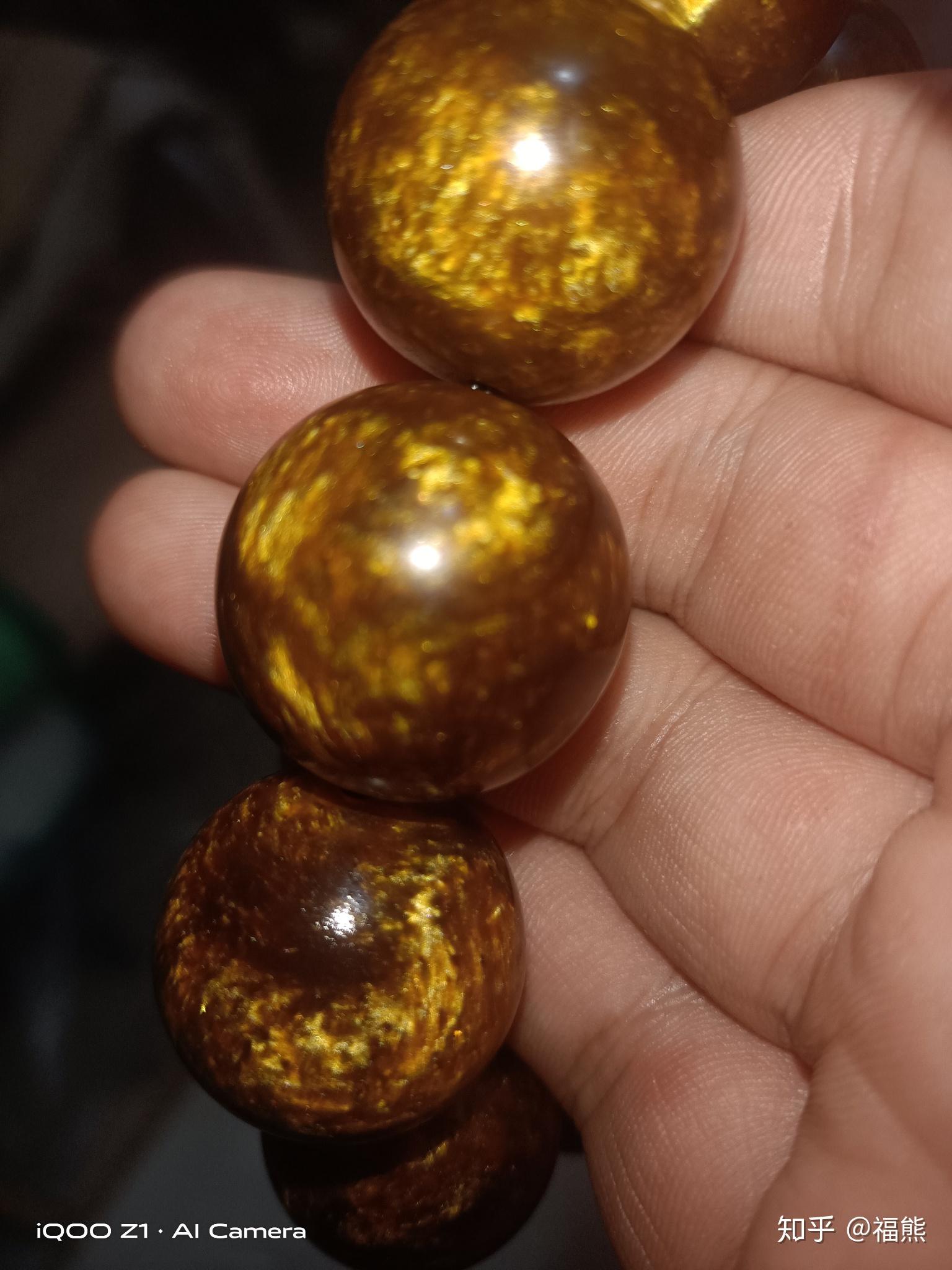 怎么区分真假海柳? - 知乎