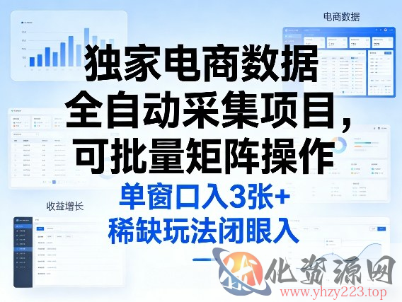 独家电商数据全自动采集项目，可批量矩阵操作，单窗口日入3张+，稀缺玩法闭眼入【揭秘】