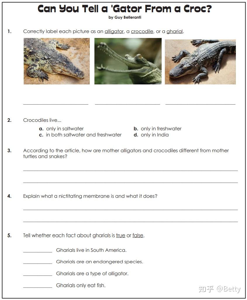 每个孩子必刷的英语原版阅读理解《Super Teacher Worksheets》G1-G5,1700页 - 知乎