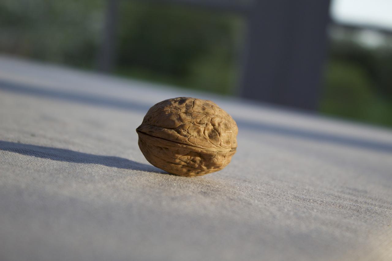 核桃产地溯源指南