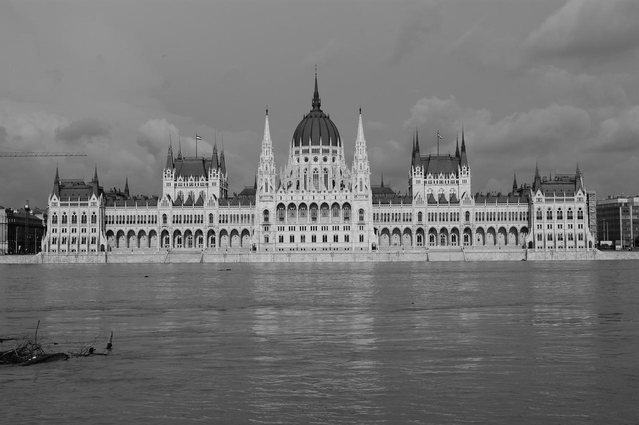 4. 教育资源引入