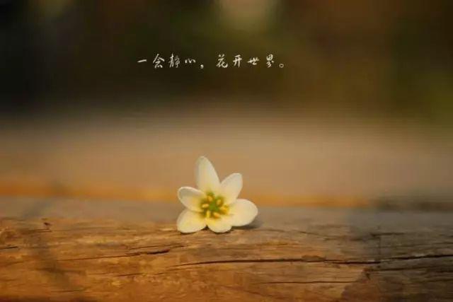 问答两则：【听不了唠叨】【老年痴呆】 - 知乎