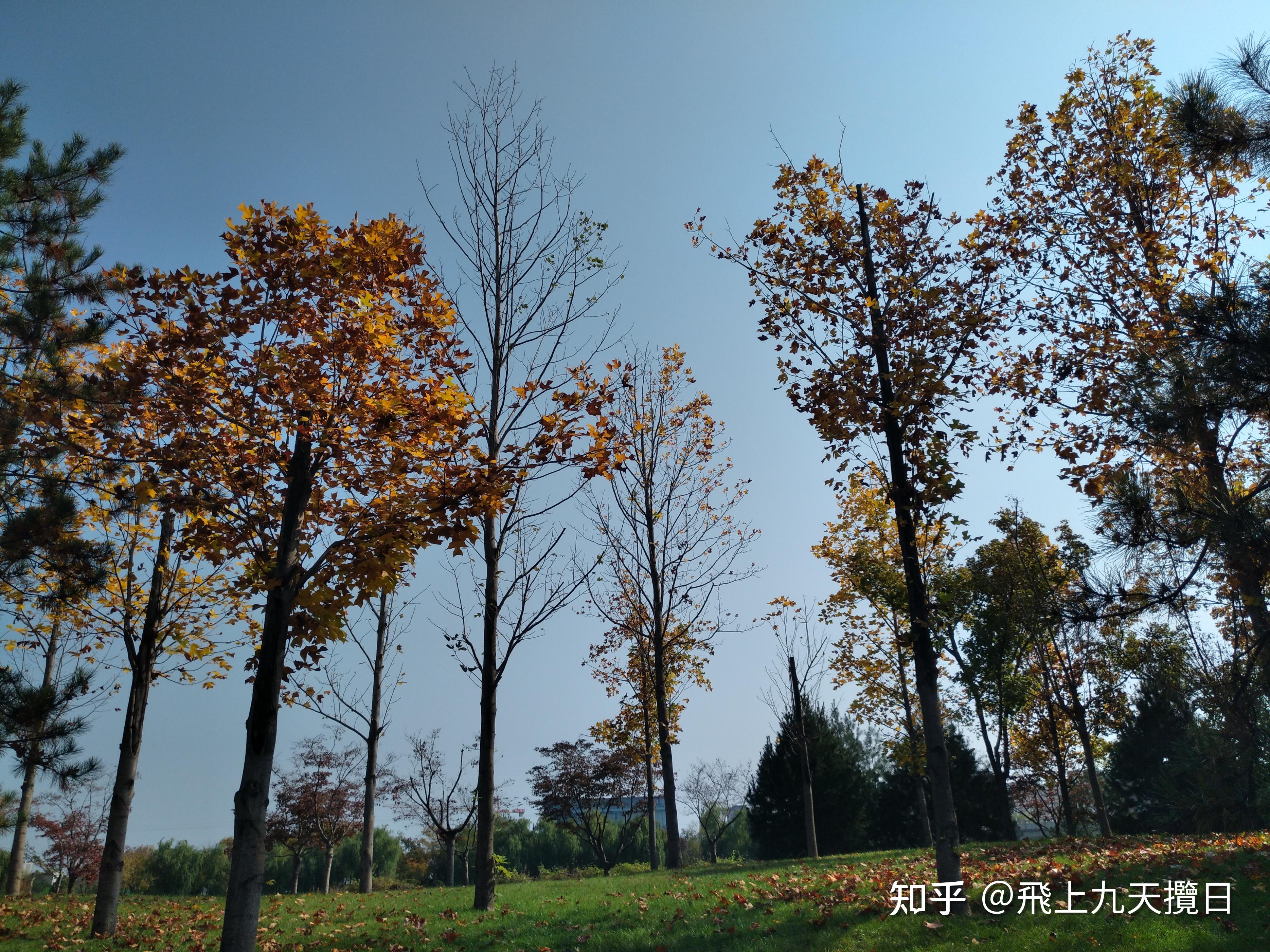 渼陂湖记 - 知乎
