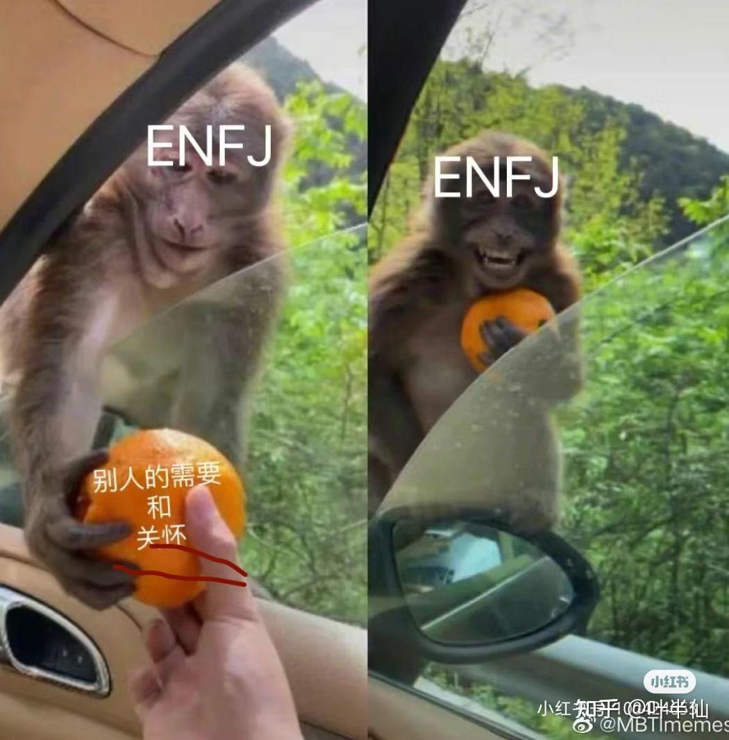 ENFJ梗图一览 - 知乎
