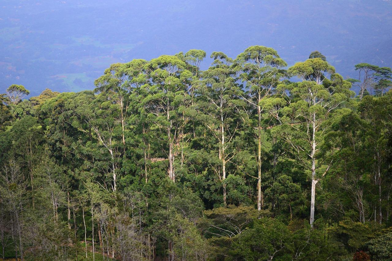 小户型如何布局更实用
