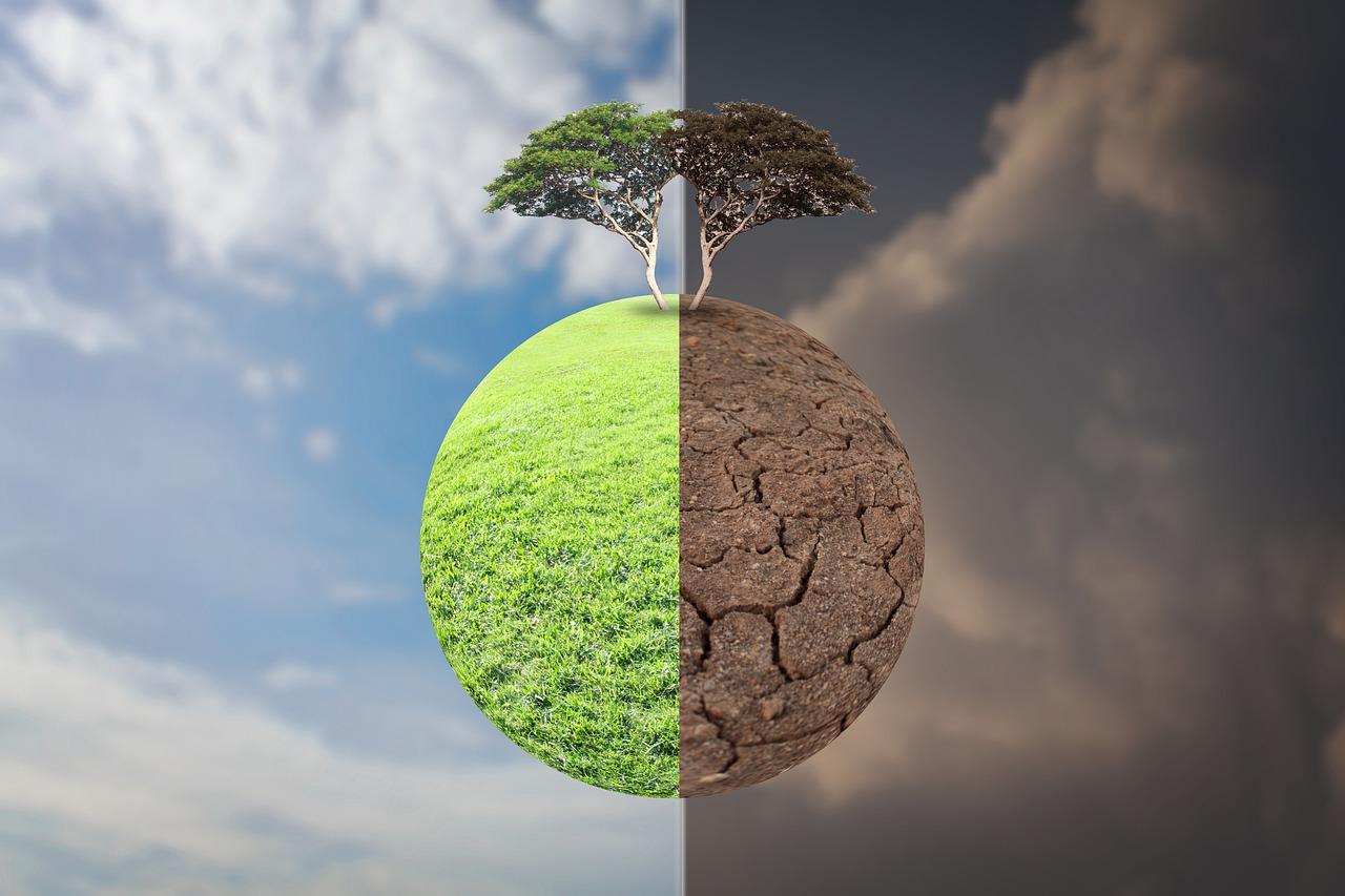 2. 面包果美味做法