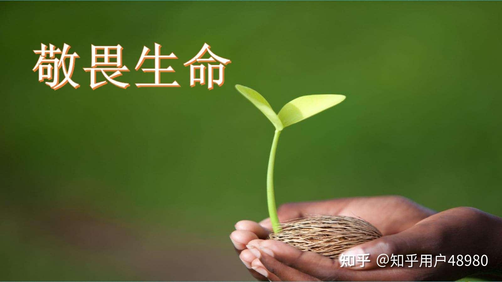 一个人经历的苦难是否与这个人对生命的理解成正比