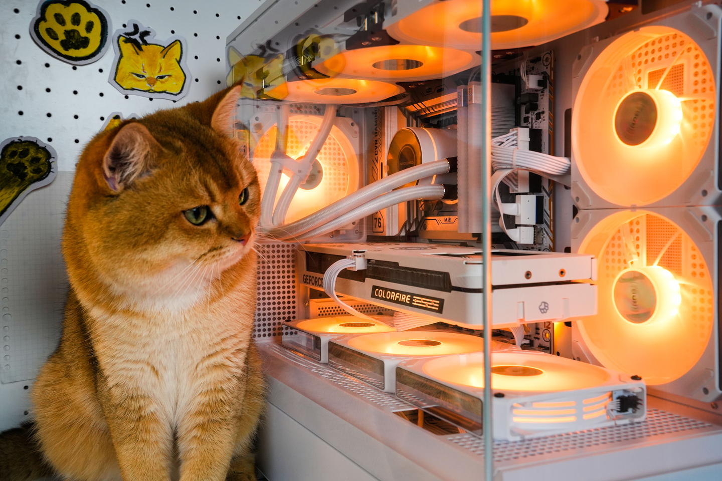 虎猫PC 开箱实测猫猫主题显卡，COLORFIRE RTX 4060 Ti 橘影橙- 知乎