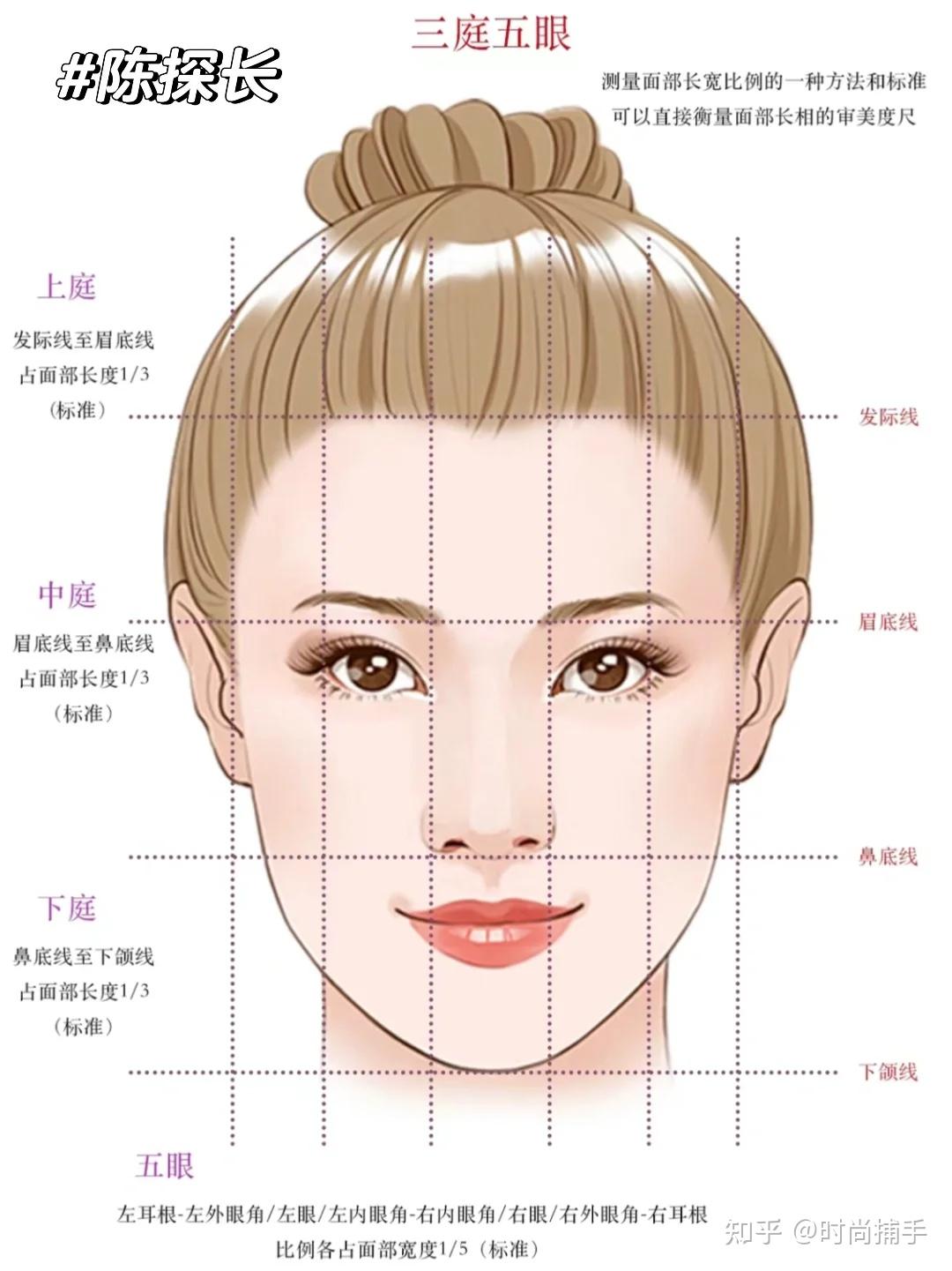 三庭五眼黄金比例|眉形设计教科书级干货 - 知乎