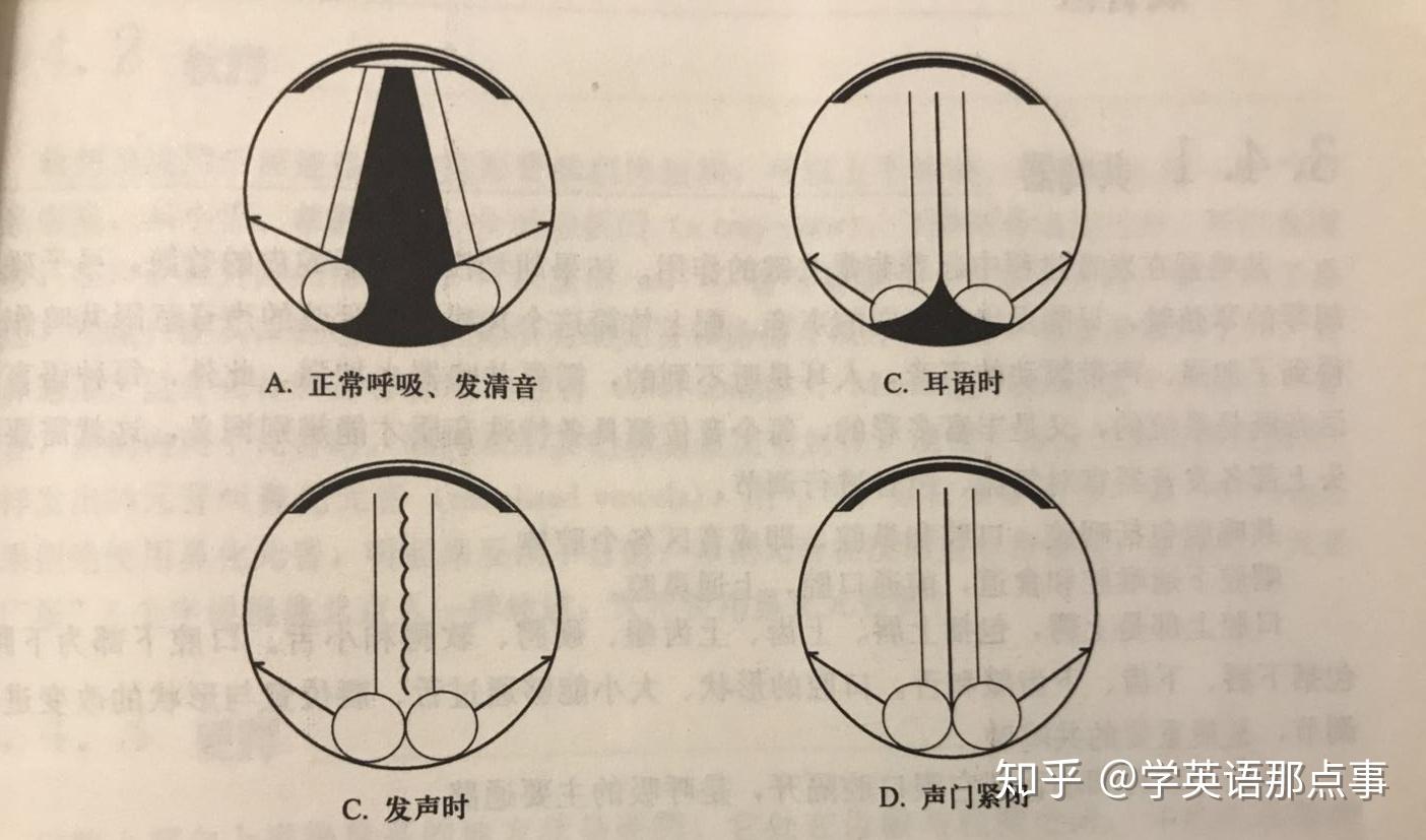 如何说出一口标准英式英语? - 知乎